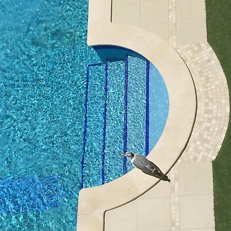 公寓 150m To The At Sol A Sul 阿尔布费拉